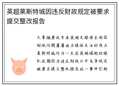 英超莱斯特城因违反财政规定被要求提交整改报告